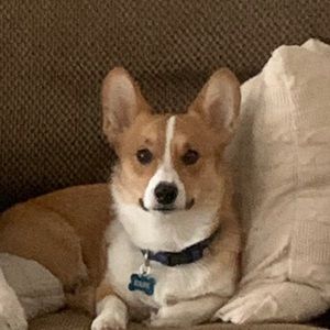 Meet your Posher, Addie